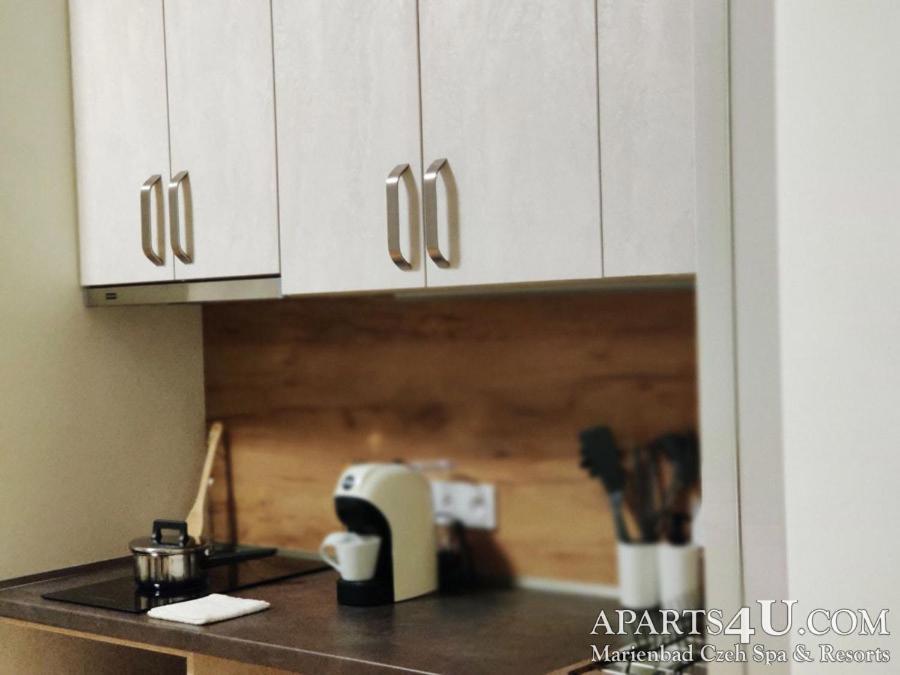 Apartment Grun Wald Marianske Lazne Ngoại thất bức ảnh