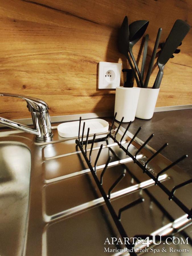 Apartment Grun Wald Marianske Lazne Ngoại thất bức ảnh