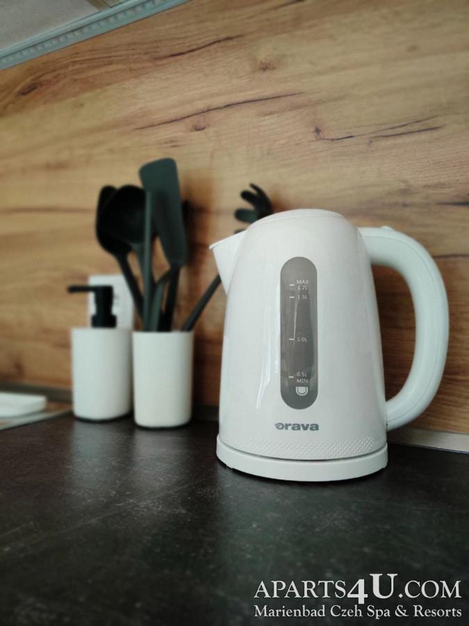 Apartment Grun Wald Marianske Lazne Ngoại thất bức ảnh